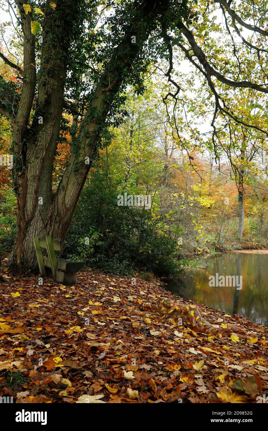 Nature Art: Feuilles d'automne bodypainting et photoshooting avec le modèle Lena Kiel dans un étang forestier à Bruennighausen le 01 novembre 2020 - Bodypainting artiste:: Joerg Duesterwald Banque D'Images