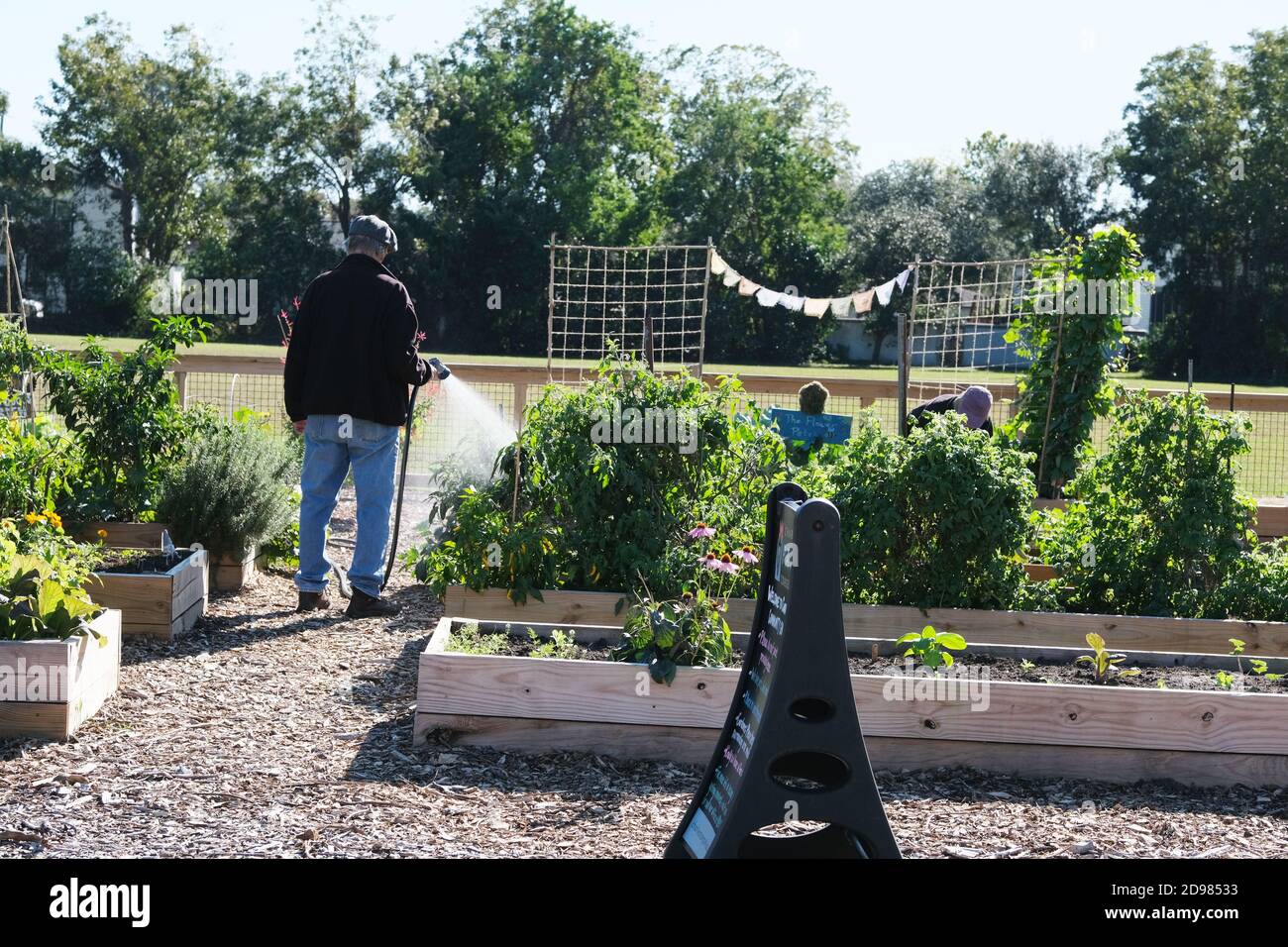 Jardins urbains avec mini-bibliothèque, tuyau spiralé, canards et oies, légumes, fleurs, kale, tournesol, tomates, poivrons et tuyauterie en cuivre pour l'eau. Banque D'Images