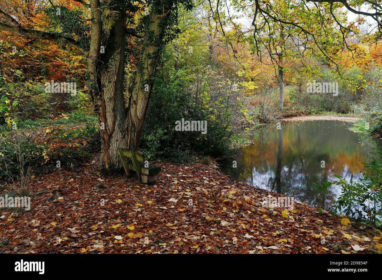 Nature Art: Feuilles d'automne bodypainting et photoshooting avec le modèle Lena Kiel dans un étang forestier à Bruennighausen le 01 novembre 2020 - Bodypainting artiste:: Joerg Duesterwald Banque D'Images