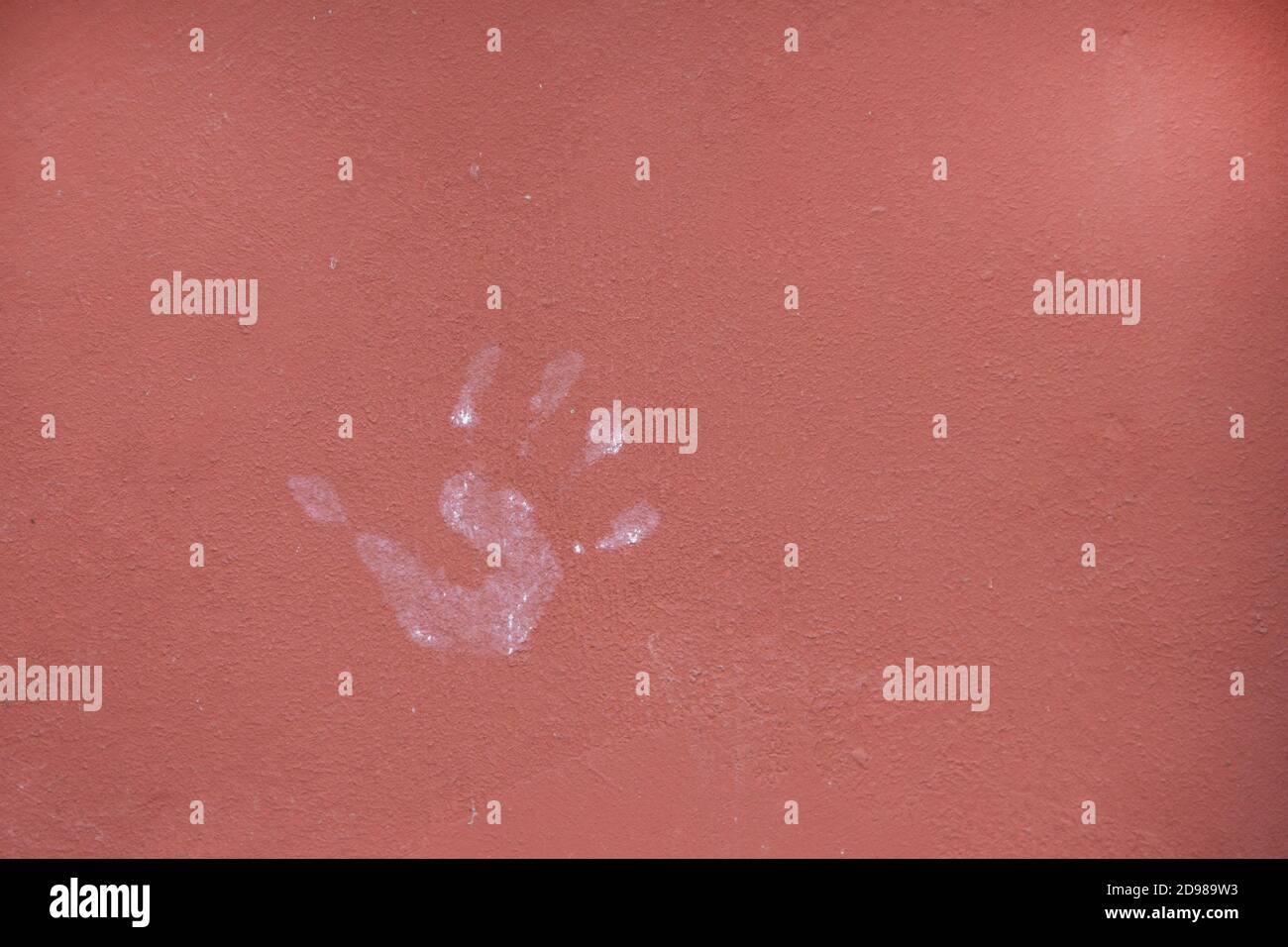 Imprimé palmiers sur un mur peint en douceur. Banque D'Images