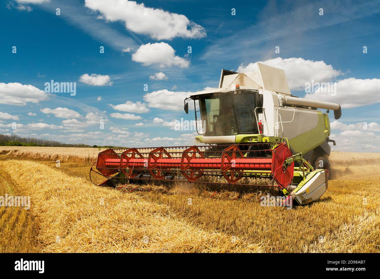 La moissonneuse-batteuse récolte du blé mûr. Image agriculture. Banque D'Images