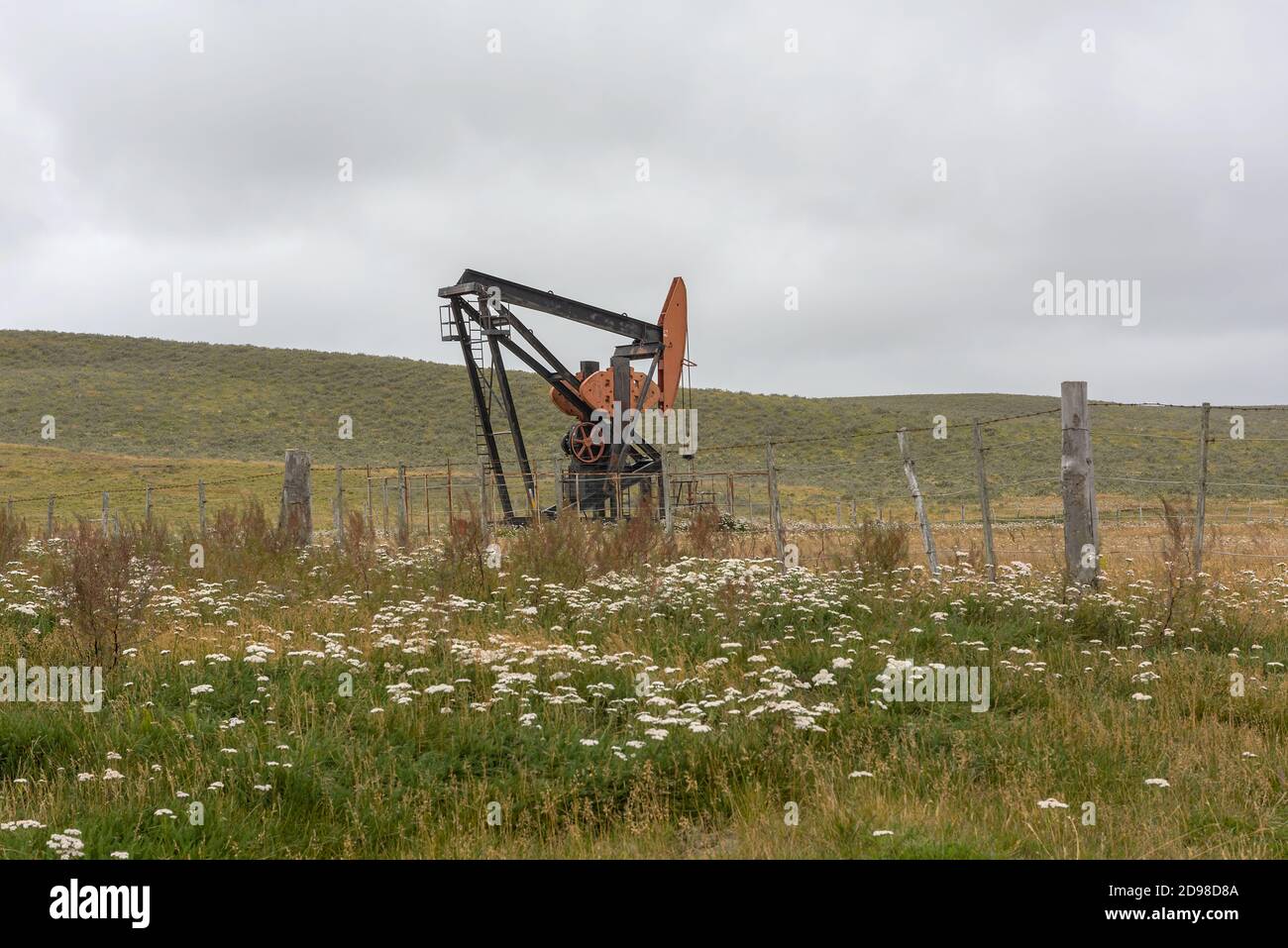 Pompe à pétrole, pompe d'extraction dans un champ de pétrole, Patagonia, Argentine Banque D'Images