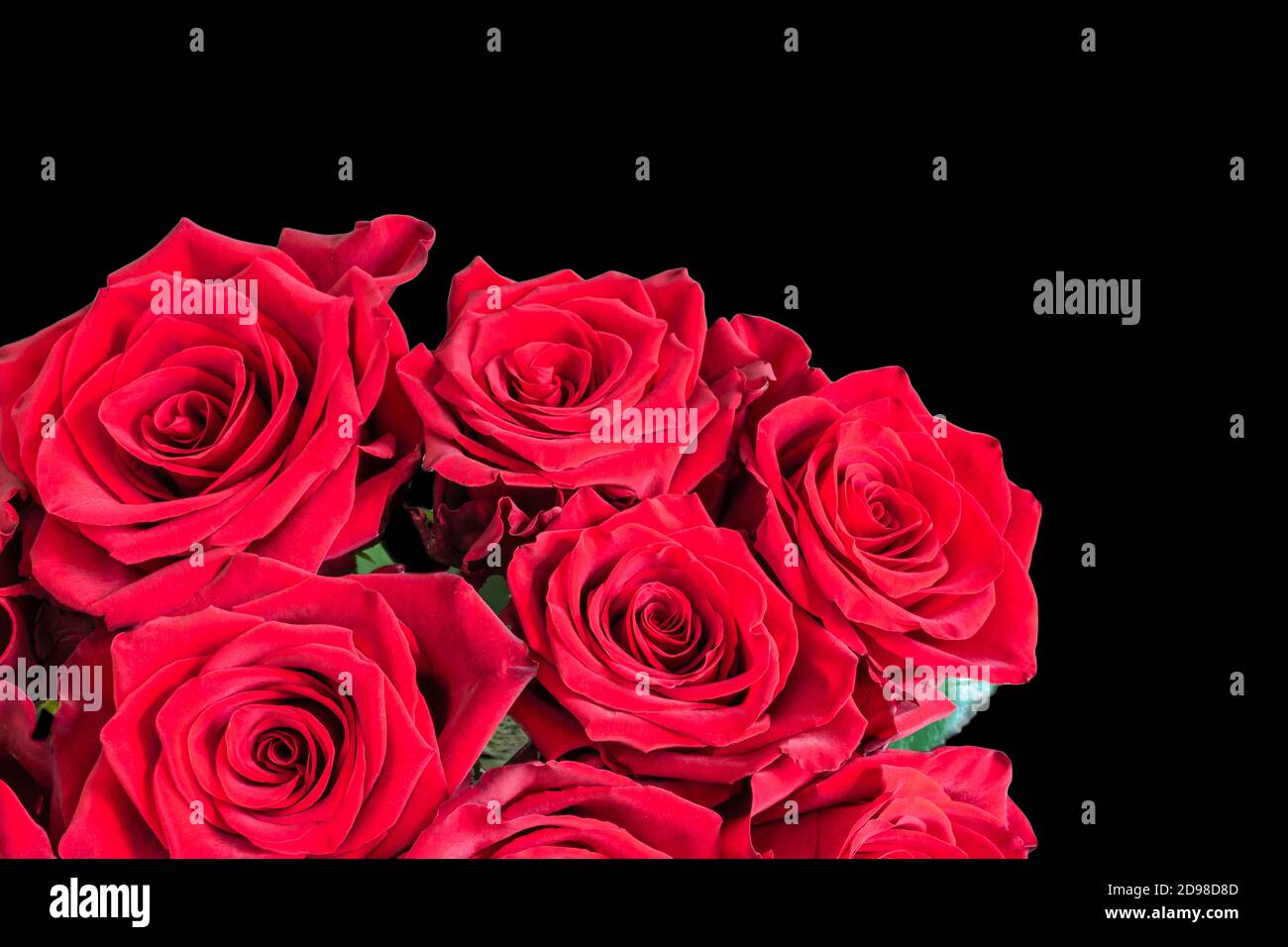 Roses rouges isolées sur fond noir. Bouquet romantique de fleurs. Banque D'Images