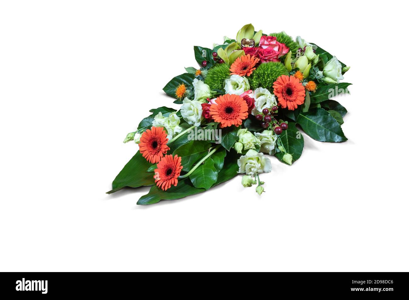 Arrangement de fleurs colorées isolé sur fond blanc. Banque D'Images
