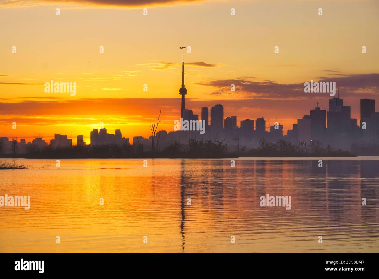 Silhouettes des gratte-ciel du front de mer de Toronto avec un avion survolant Tour CN au-dessus des gratte-ciels du centre-ville et des colonies d'oiseaux cormorants premier plan dans Banque D'Images