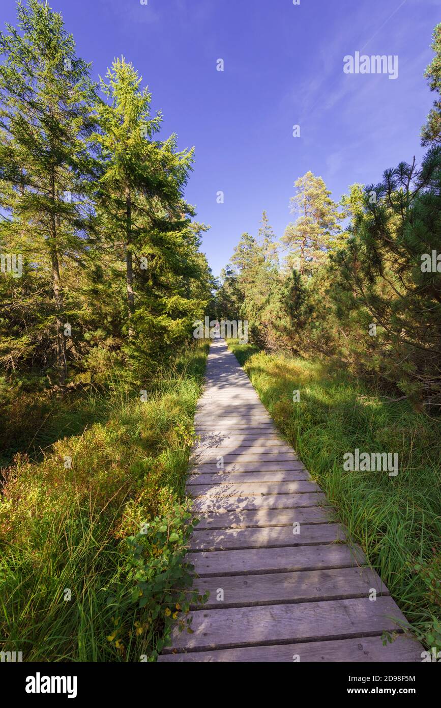 Sentier en bois, sentier de randonnée, réserve naturelle Wildparadoor, Kaltenbronn, Gernsbach, Forêt Noire, Baden-Wuerttemberg, Allemagne, Europe Banque D'Images