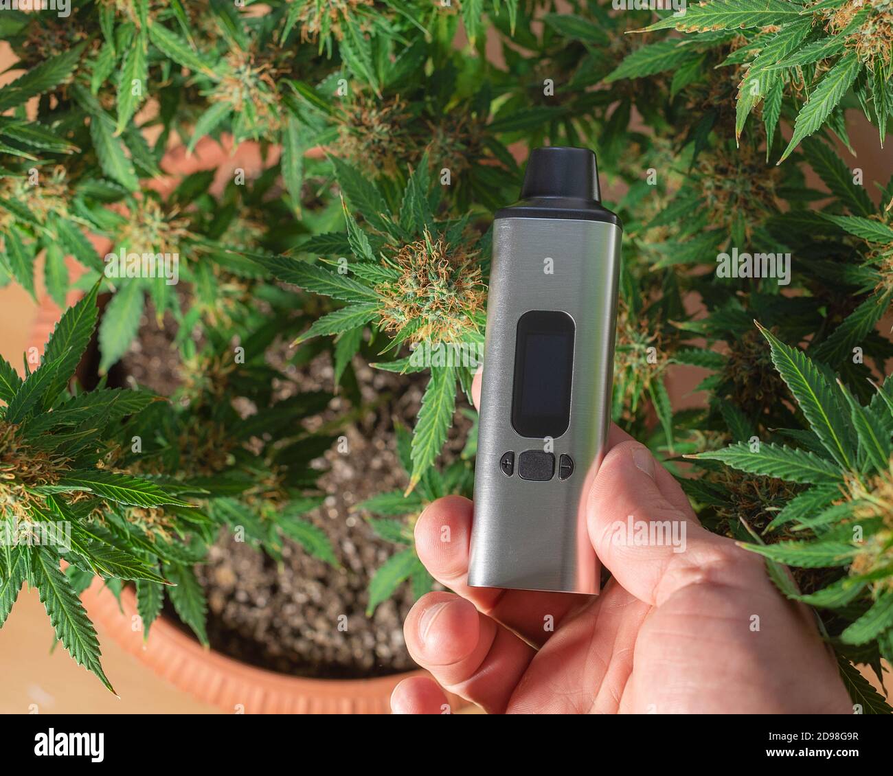 Vaporizer and marijuana Banque de photographies et d'images  haute  rsolution - Alamy