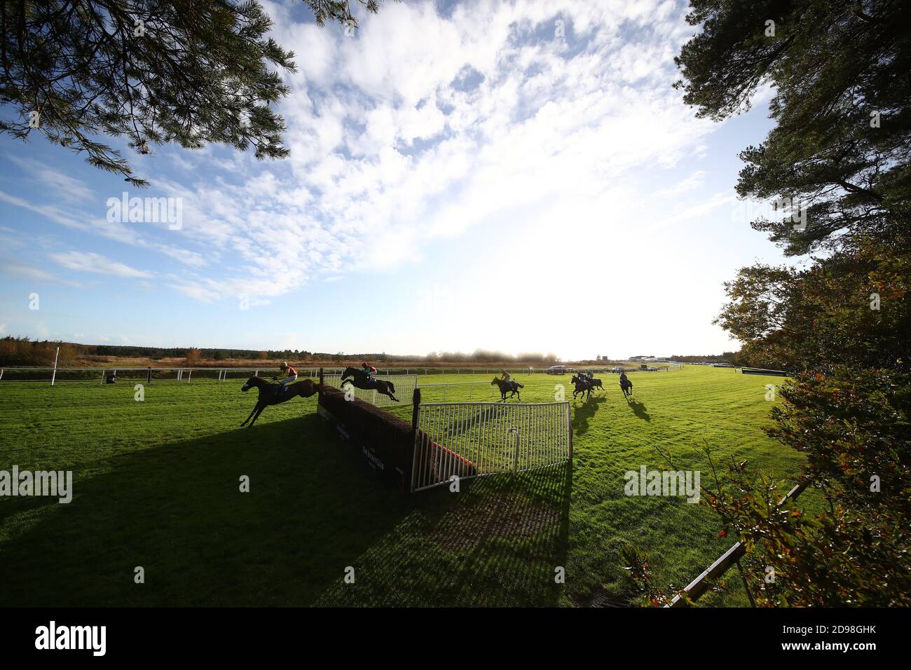 Red River, criblée par David Bass (à gauche), descend le long du dos tout droit pendant le Steeple Chase des novices de Kate Brook à l'hippodrome d'Exeter. Banque D'Images Red River, criblée par David Bass (à gauche), descend le long du dos tout droit pendant le Steeple Chase des novices de Kate Brook à l'hippodrome d'Exeter. Banque D'Images