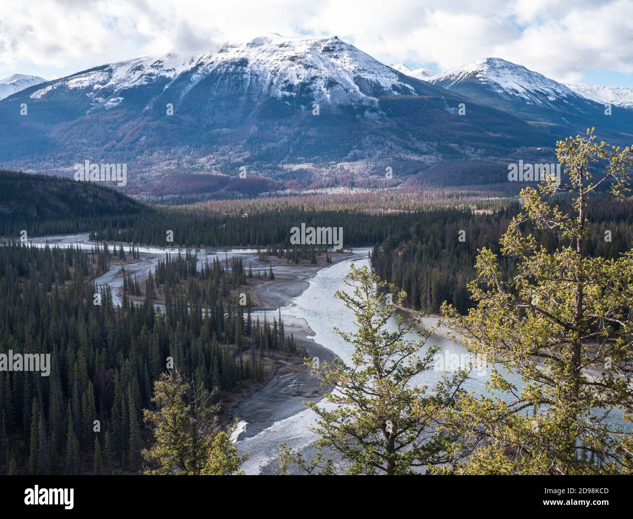 Les Rocheuses canadiennes et la rivière Athabasca Banque D'Images