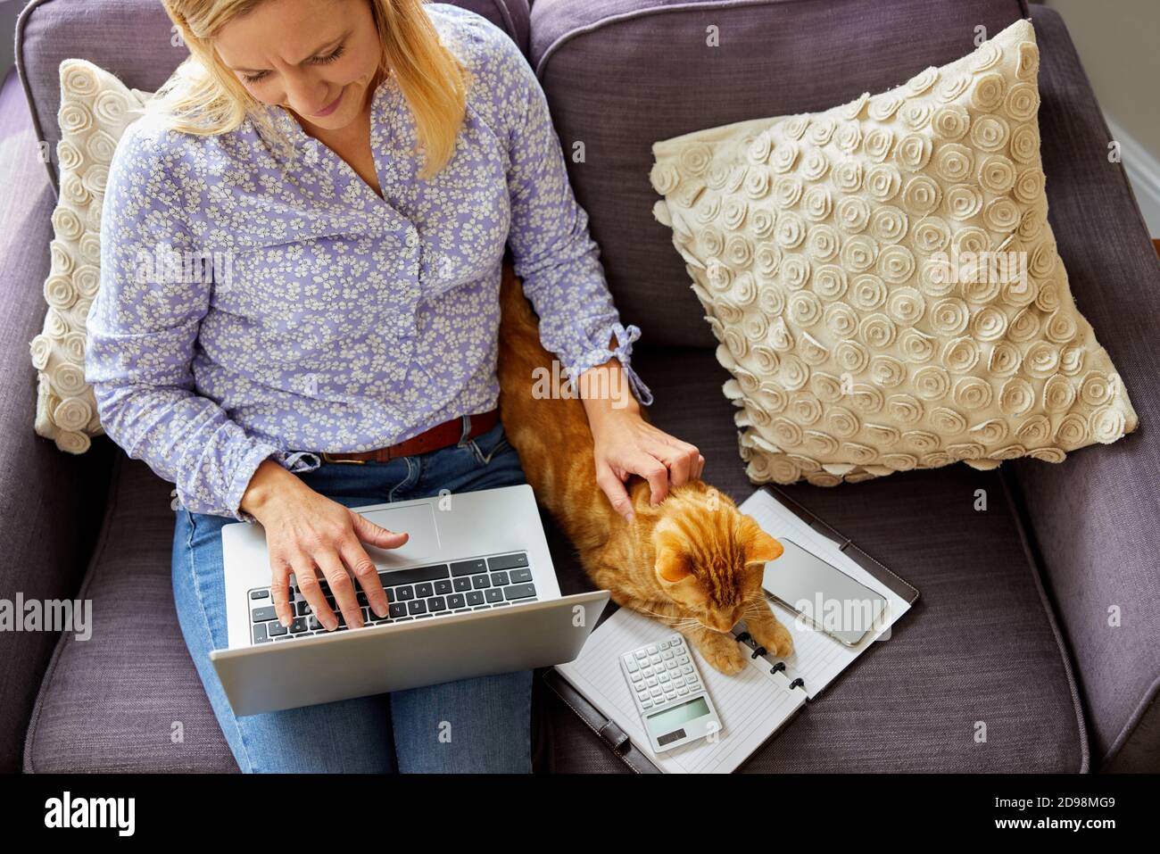 Prise de vue aérienne d'une femme travaillant à la maison sur un ordinateur portable assis Sur le canapé pendant le verrouillage de la course PET Cat Banque D'Images