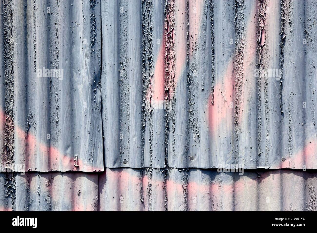 L'écaillage de la peinture gris et rose graffiti sur un mur de métal ondulé Banque D'Images