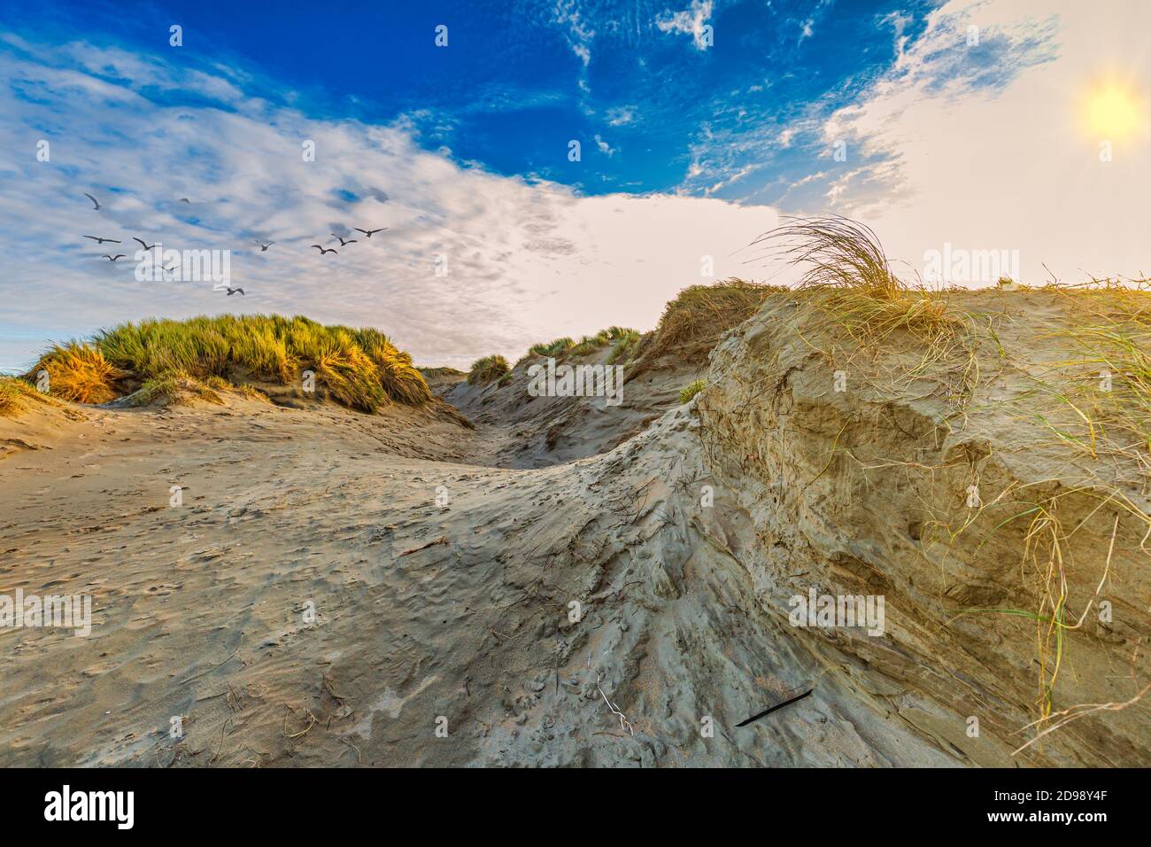 Paysage de dunes avec des trous de sable de dérive profondément usés pendant l'automne tempête avec voile nuages et poutres solaires pénétrantes avec des flocks de mouettes entrant dans le Banque D'Images