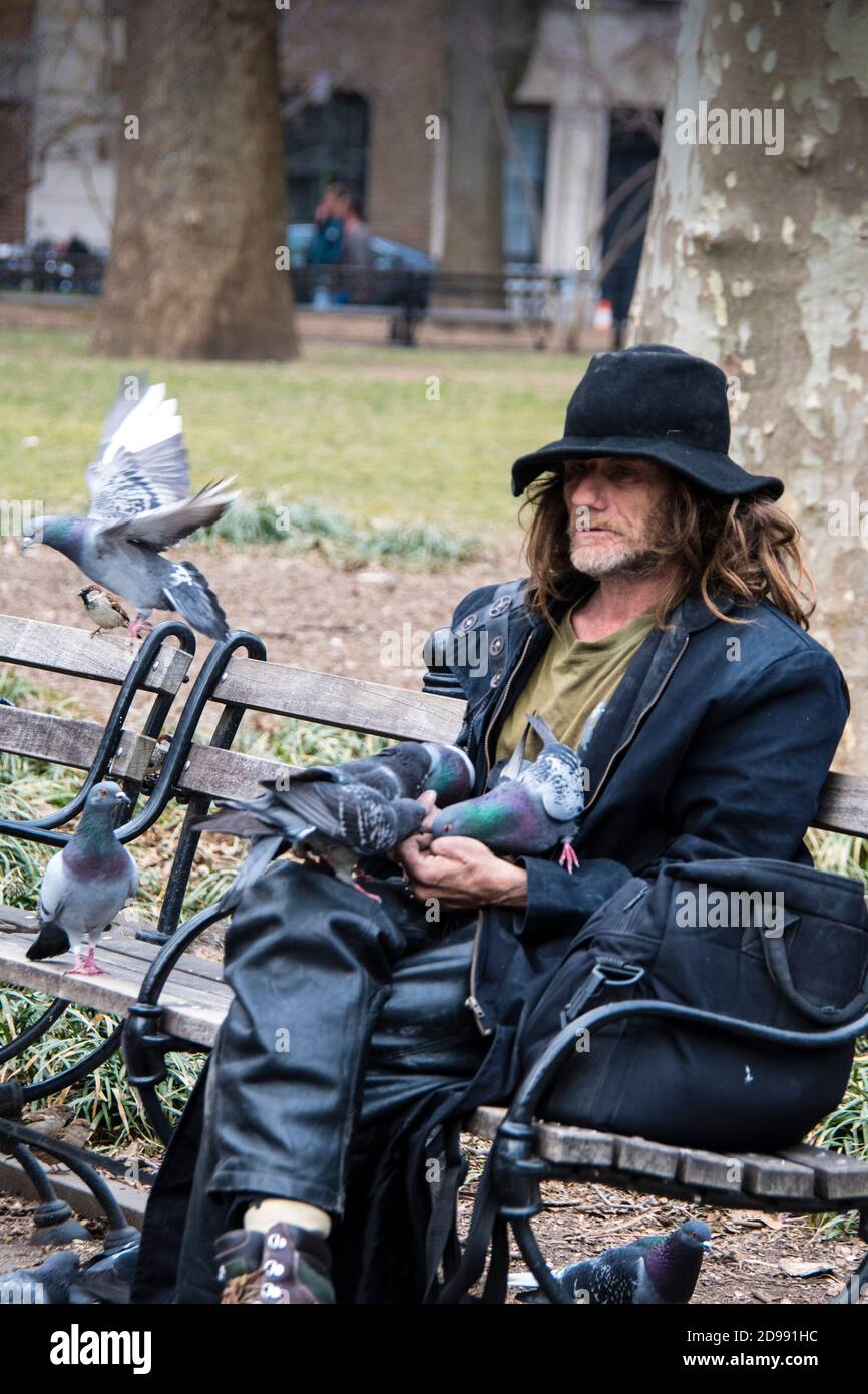 Larry Reddick, connu sous le nom de Larry The Birdman, nourrissant un troupeau de pigeons dans Washington Square Park, Greenwich Village, New York City, États-Unis Banque D'Images