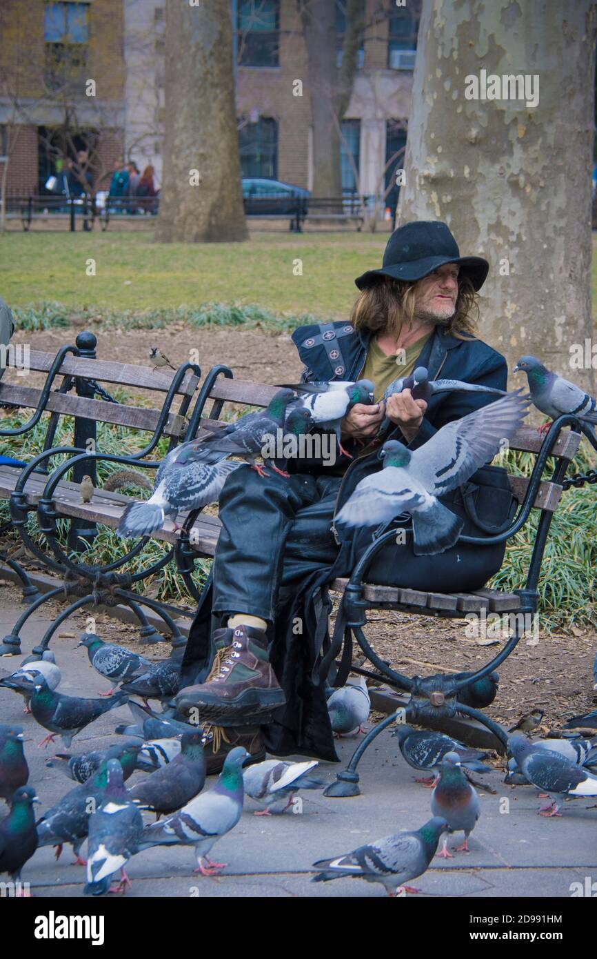 Larry Reddick, connu sous le nom de Larry The Birdman, nourrissant un troupeau de pigeons dans Washington Square Park, Greenwich Village, New York City, États-Unis Banque D'Images