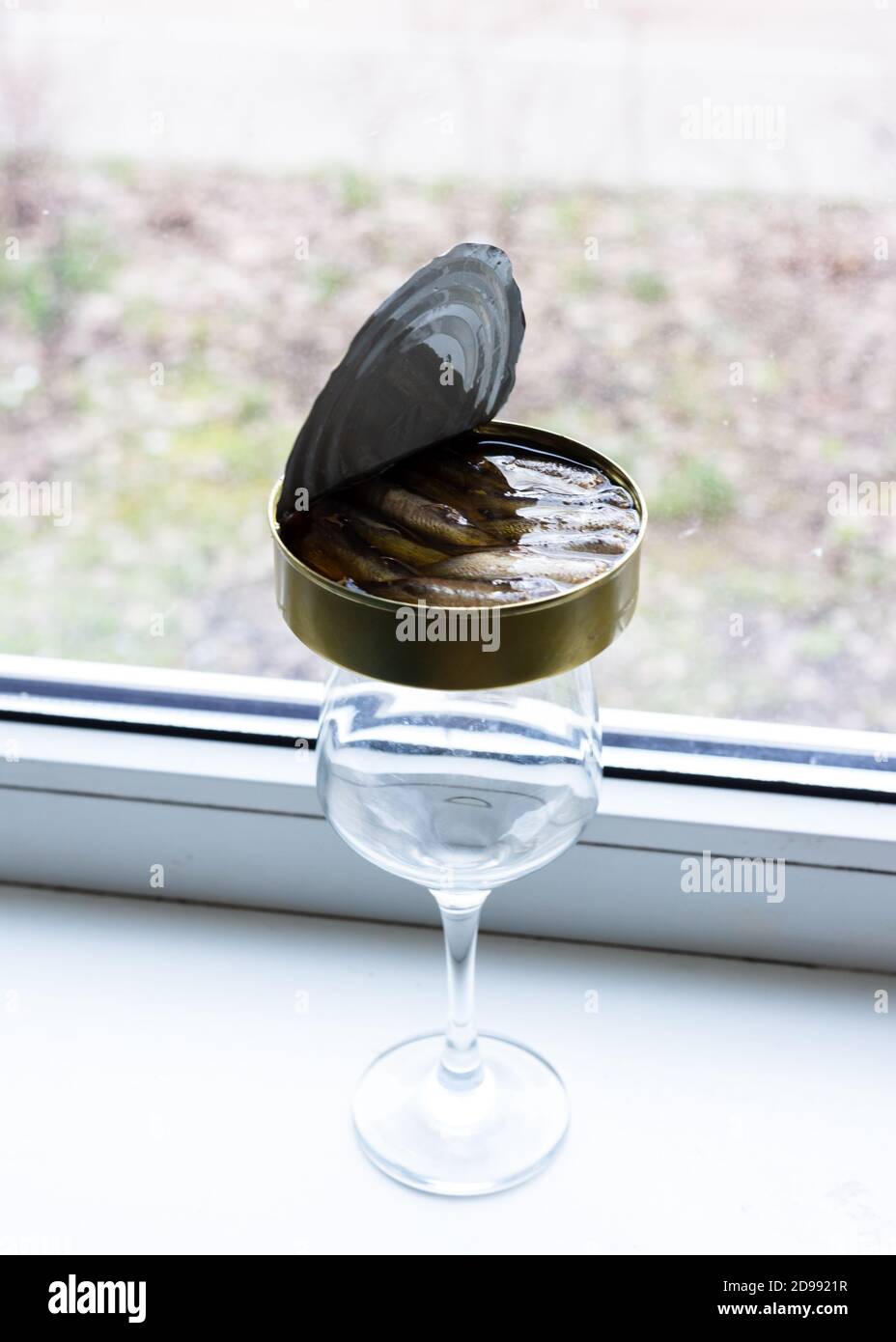 Boîte ouverte de poisson en conserve Banque D'Images