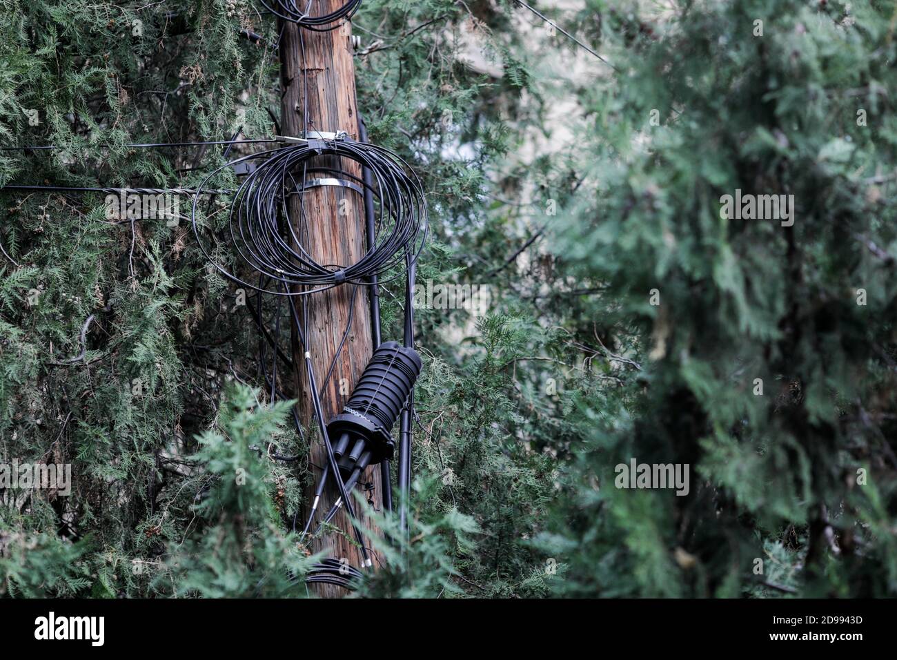 Beaucoup de câbles Internet et TV mal organisés sur un poteau en bois à Bucarest. Banque D'Images