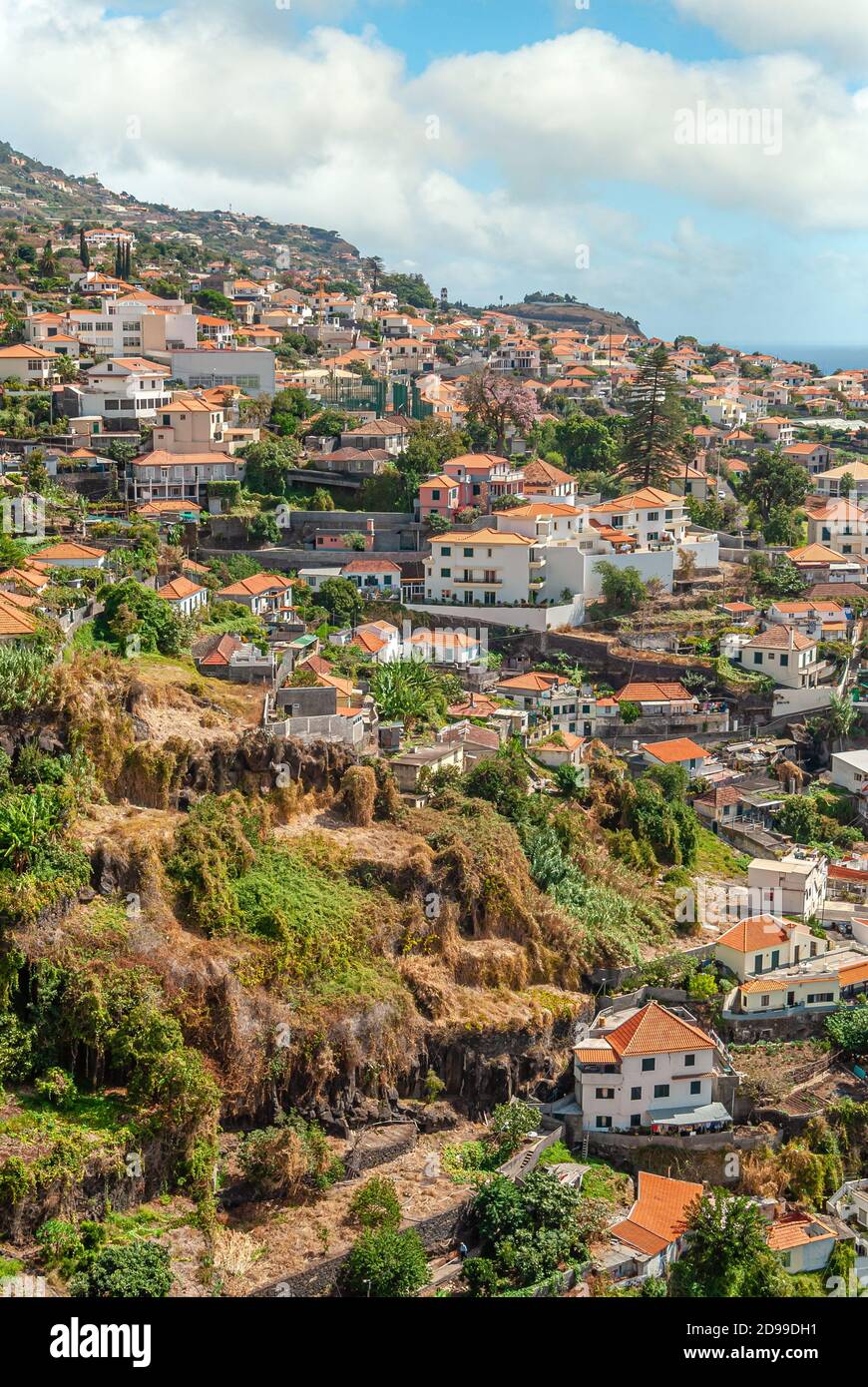 Vue sur Funchal, l'île de Madère, Portugal Banque D'Images