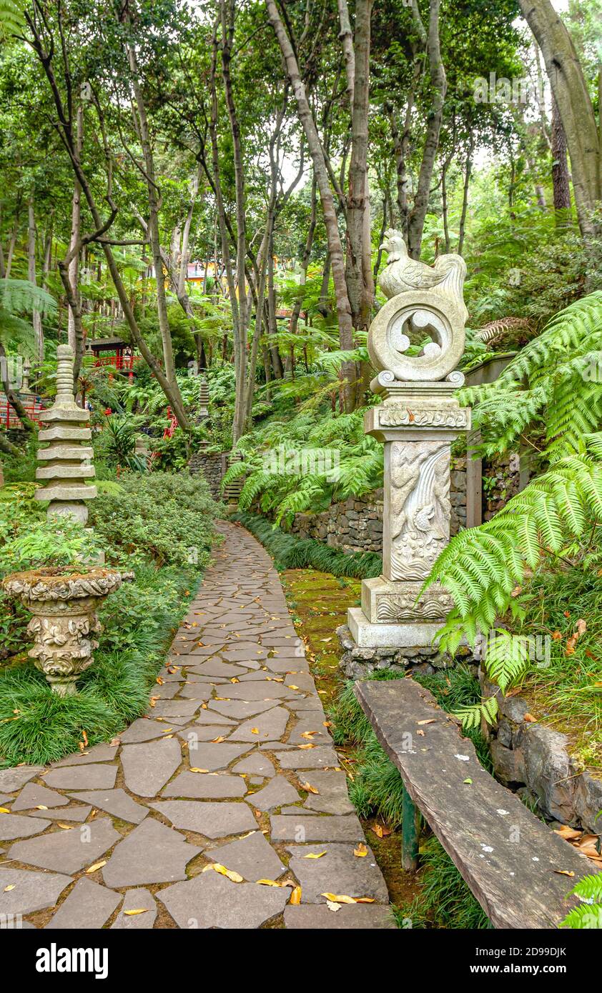 Jardin d'Asie au jardin du palais de Monte à Funchal, Madère, Portugal. Banque D'Images