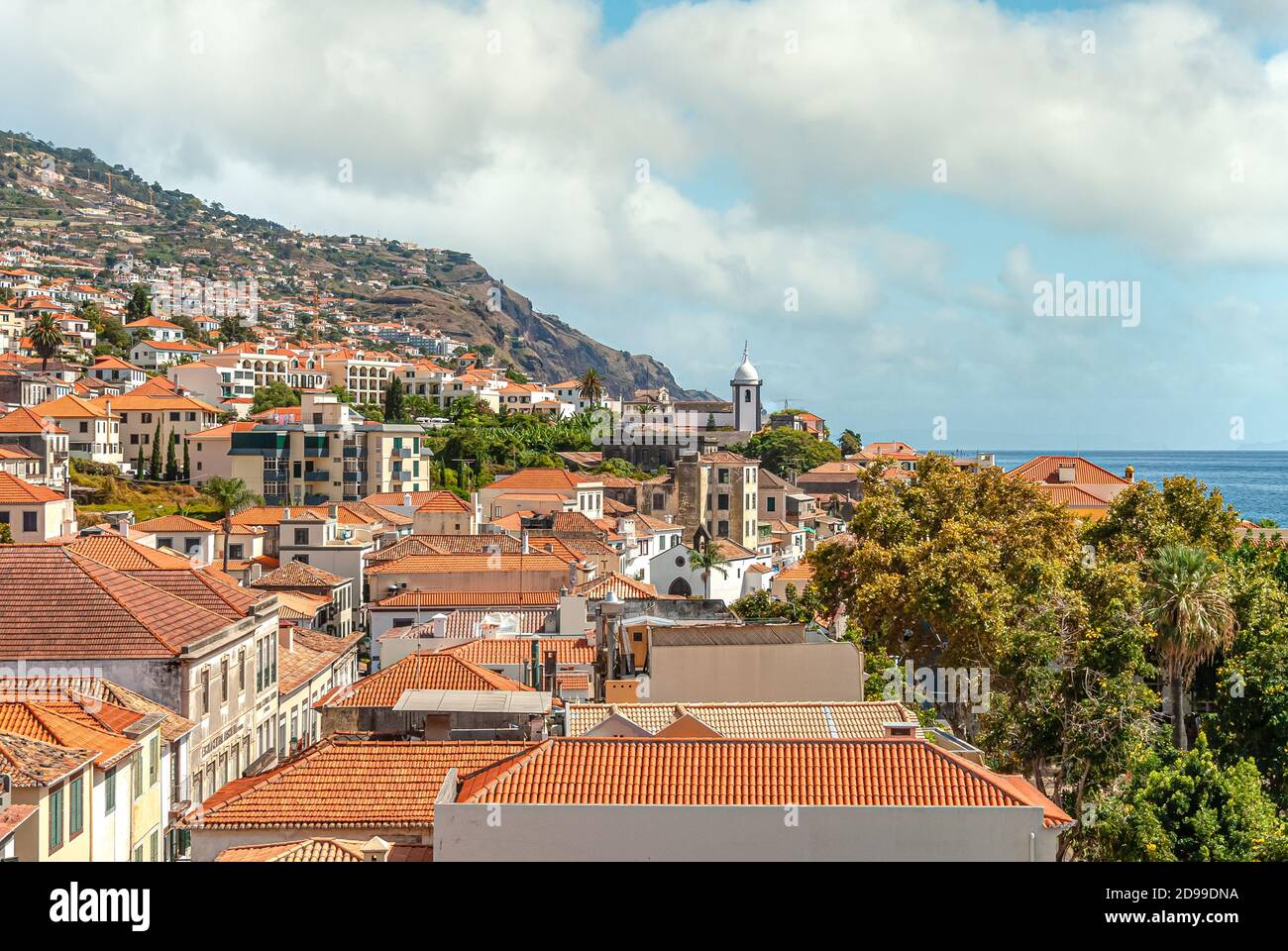 Vue sur Funchal, l'île de Madère, Portugal Banque D'Images