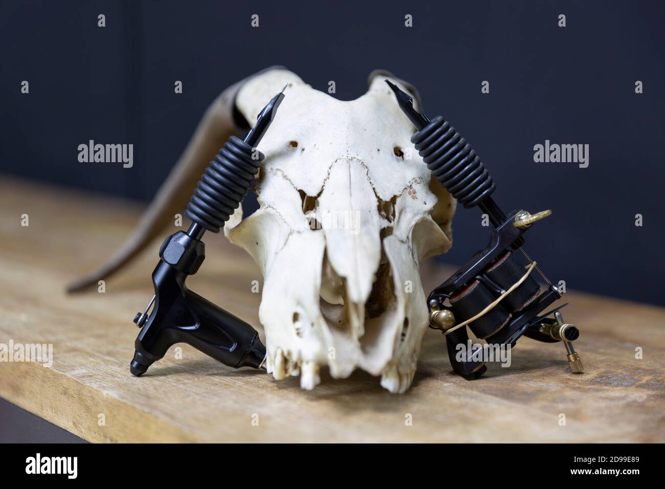 Composition avec deux modèles différents de machines de tatouage reposant sur un crâne de chèvre dans un studio de tatouage. Banque D'Images