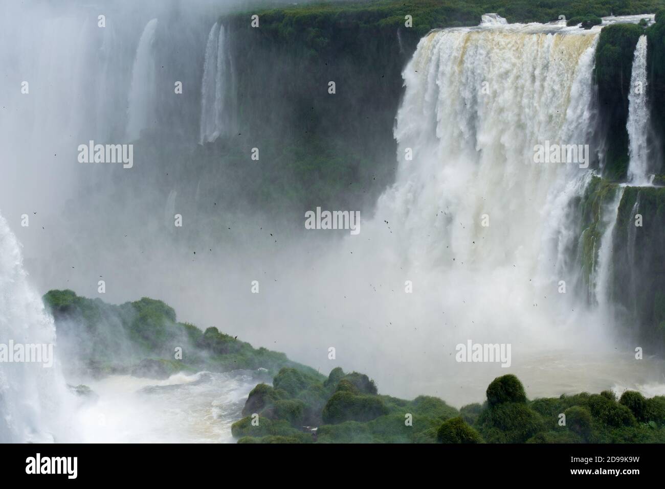 Chutes d'Iguazu, l'une des sept nouvelles merveilles de la nature, au Brésil et en Argentine Banque D'Images