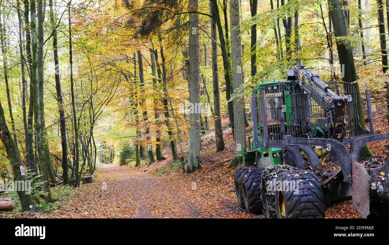 Forêt de Taunus en automne avec un chemin et des feuilles colorées et une machine de la sylviculture Banque D'Images