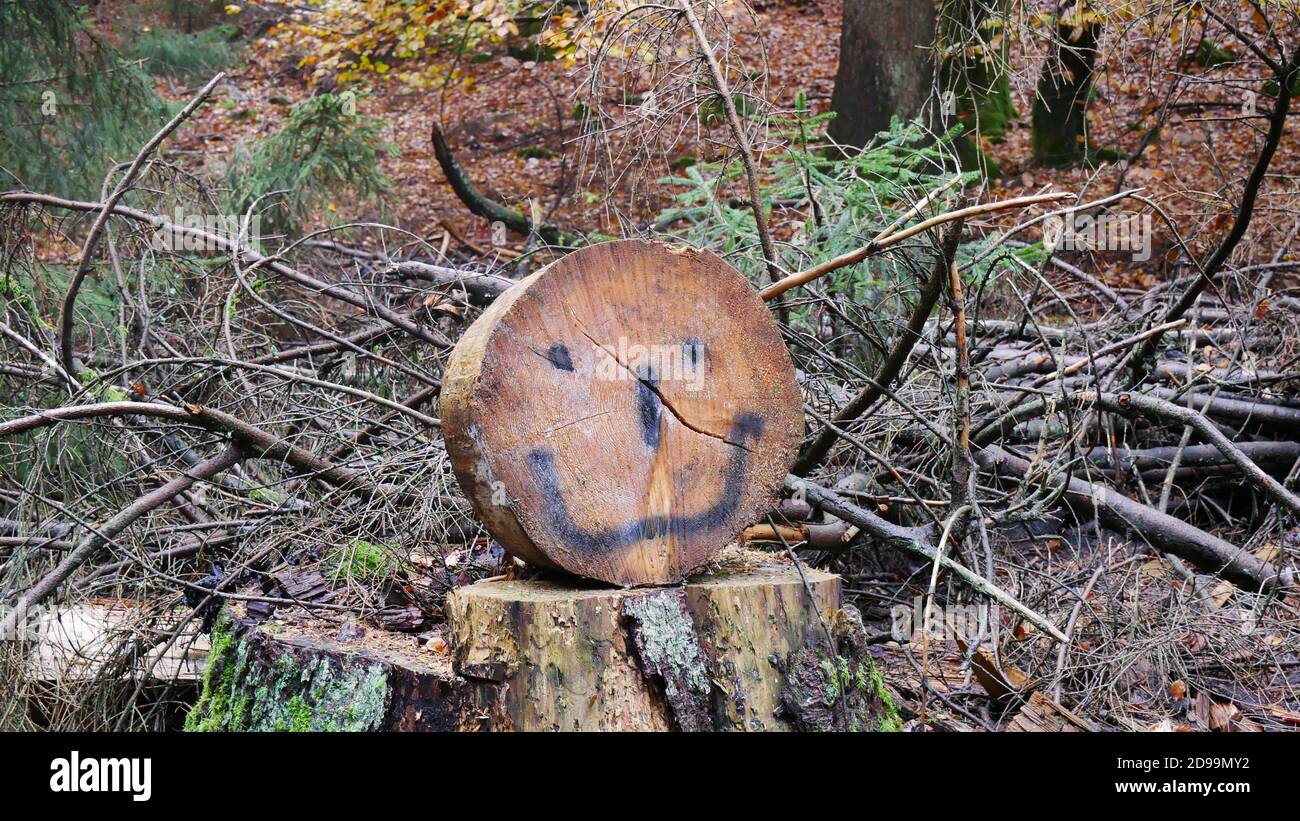 Symbole cynique du changement climatique : au milieu du massacre des forêts dans les montagnes de Taunus en Allemagne, quelqu'un a peint un visage souriant sur un disque d'arbre Banque D'Images