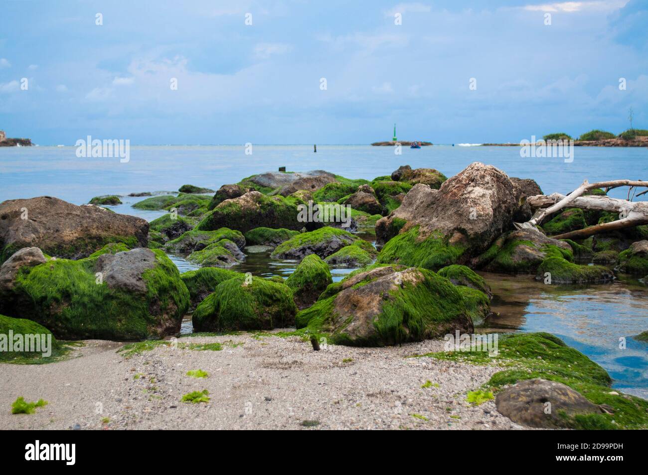 Rochers avec algues vertes sur la rive Banque D'Images