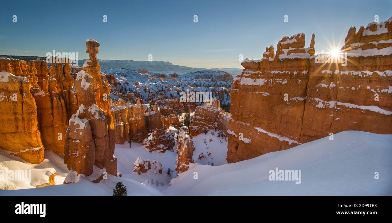 Thor's Hammer Bryce Canyon Banque D'Images