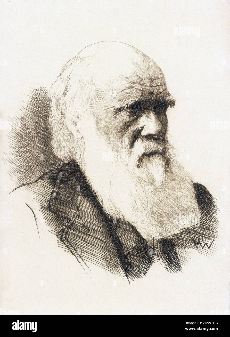 Le naturaliste anglais CHARLES Robert DARWIN ( 1809 - 1882 ) - NATURALISTA - SCIENZIATO - SCIENTIFIQUE - EVOLUZIONISMO - ÉVOLUTIONISME - Teoria Evoluzionista - barba - barbe - gravure de portrait - ritratto incisione - uomo anziano vecchio - vieil homme ---- Archivio GBB Banque D'Images