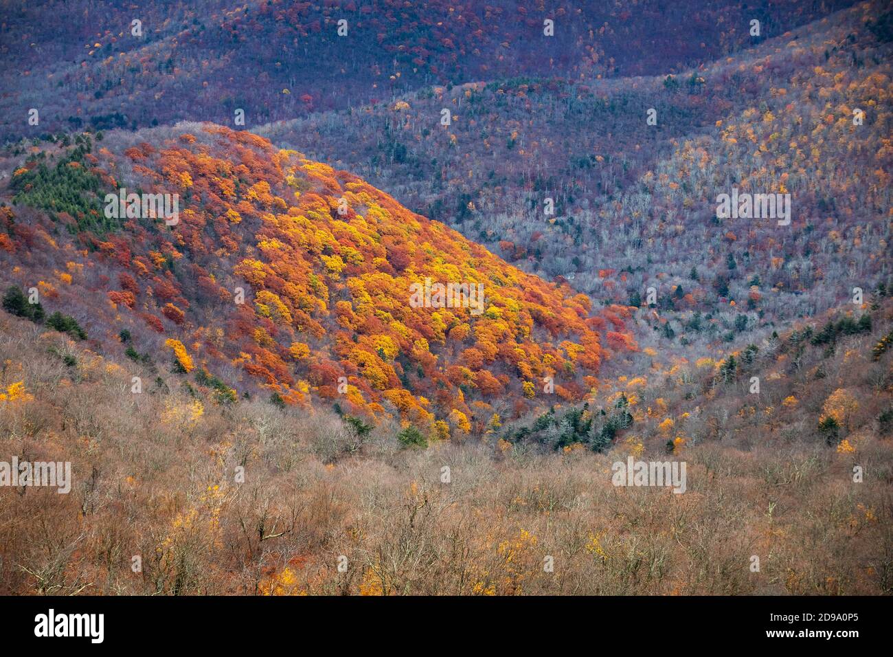 Vue panoramique sur les montagnes Catskills à l'automne depuis le haut de l'éclatement couleurs Banque D'Images