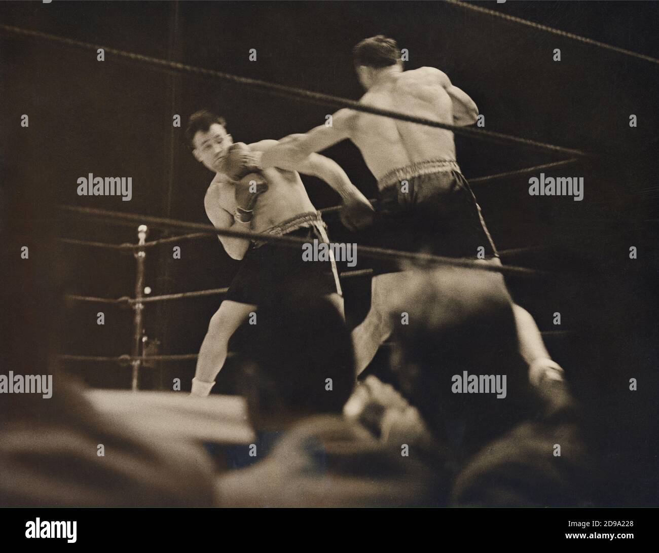 1933 , 29 juin , Etats-Unis : le boxeur italien PRIMO CARNERA ( 1906 - 1967 ), champion du monde de boxe Heavyweight . A l'époque, a gagné le championnat du monde de poids lourd le 29 juin en battant JACK SHARKEY de Boston dans les soixante de leur combat au Madison Square Garden Bowl , long Island City , New York . La photo montre une image en bord de cercle faite au sixième tour montrant Sharkey sur la gauche recevant un gauche dur de Archiera - SPORT - BOX - sportivo - PESI MASSIMI - match - ring - PUGILATO - PUGILE - BOXEUR --- Carnvio GBB Banque D'Images