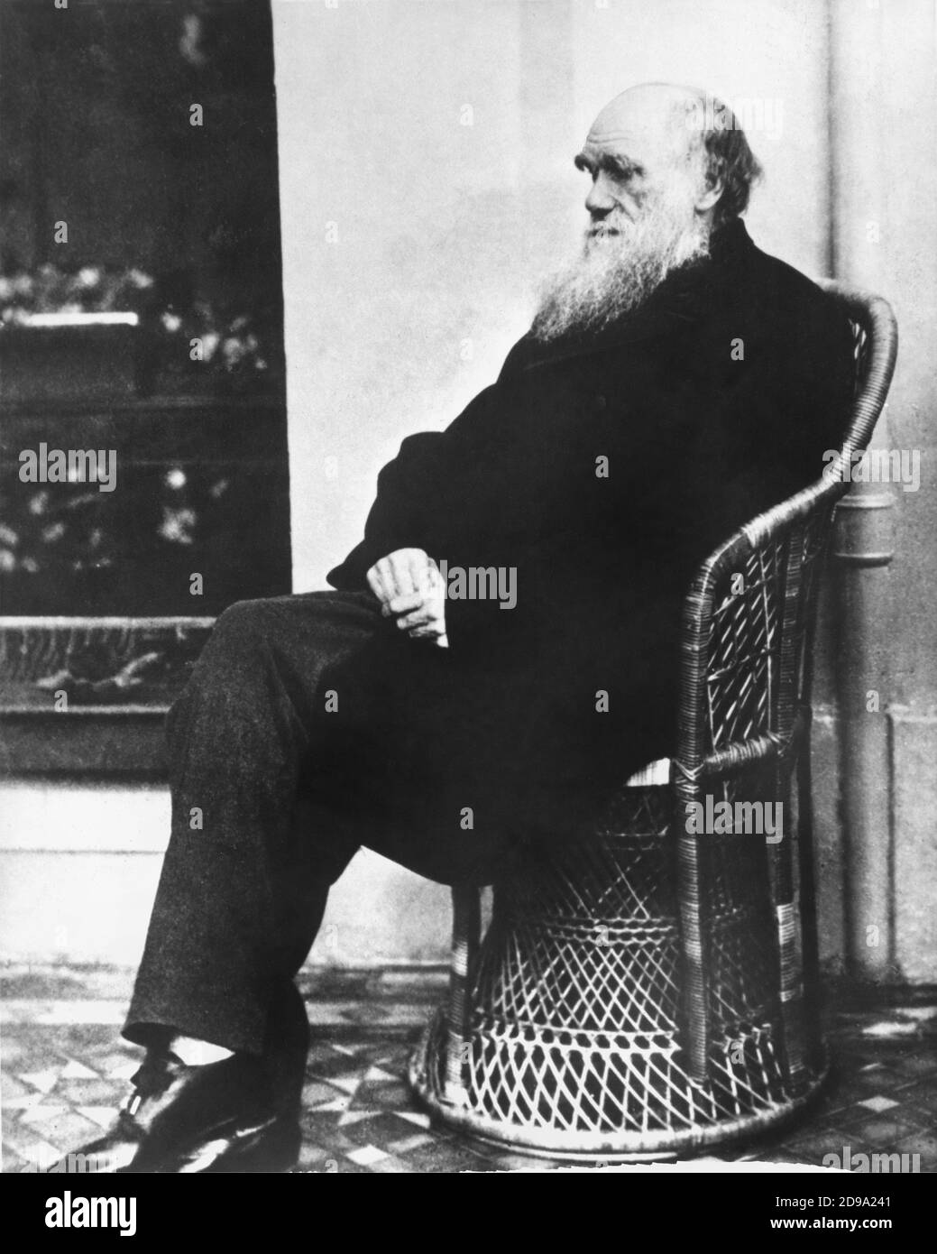 Le naturaliste anglais CHARLES Robert DARWIN ( Shrewsbury , Shropshire 1809 - Downe , Kent 1882 ). - NATURALISTA - SCIENZIATO - SCIENTIFIQUE - EVOLUZIONISMO - ÉVOLUTIONISME - Teoria Evoluzionista - barba - barbe - portrait - ritratto - uomo anziano vecchio - homme âgé - foto storiche - fstorica - scienziato - scientifique - portrait - ritratto - barba - CRAVATTA - SCIVENZA - SCIVATTA - SCIENCE - BIOLOGO - BIOLOGIA - BIOLOGIE - profilo - profil © Archivio GBB / Banque D'Images