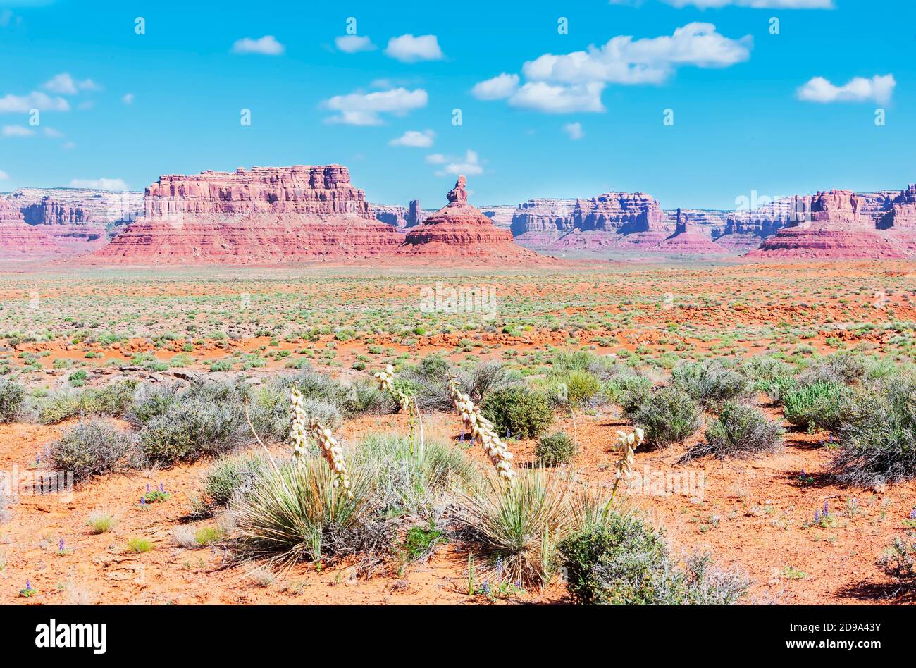 Valley of the Gods, Utah, États-Unis, Banque D'Images