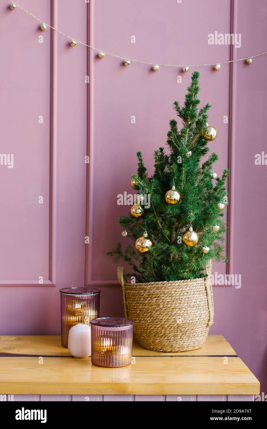 Petit arbre de Noël dans un panier en osier dans la maison décor Banque D'Images