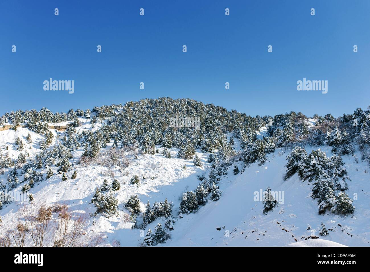 Système de montagne Tian Shan en hiver en Ouzbékistan. Hiver Sunny jour Banque D'Images Système de montagne Tian Shan en hiver en Ouzbékistan. Hiver Sunny jour Banque D'Images