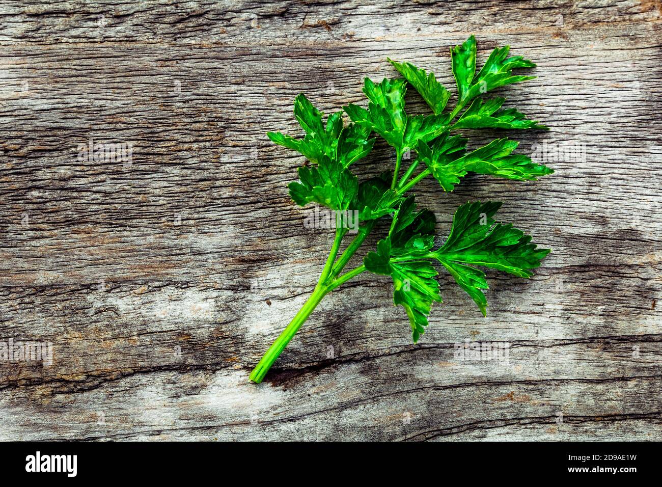 Feuilles de persil vert frais sur une planche en bois d'époque texturée Banque D'Images
