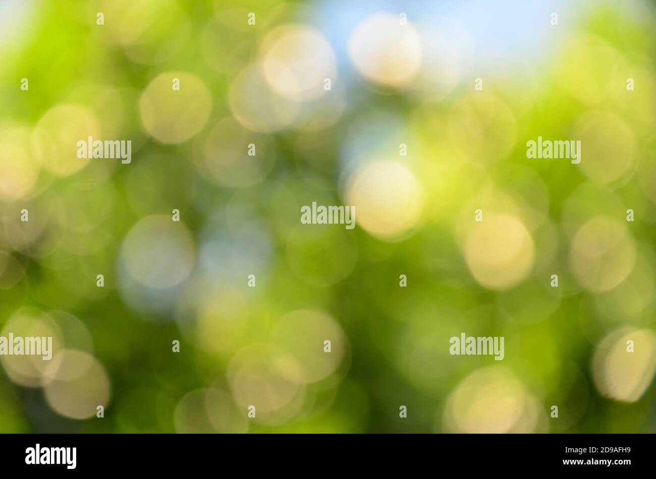 Bokeh vert flou, arrière-plan vert abstrait Banque D'Images Bokeh vert flou, arrière-plan vert abstrait Banque D'Images