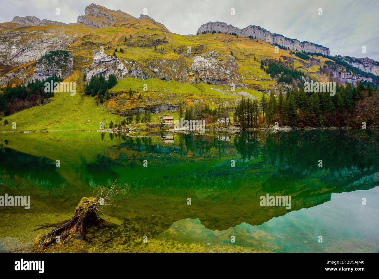 Beau paysage autour du lac Seealpsee dans la gamme Alpstein du canton d'Appenzell Innerrhoden, Suisse. Banque D'Images