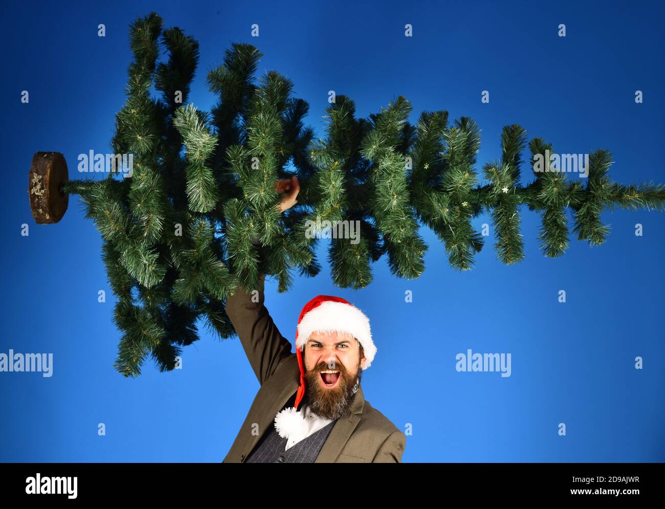 L'homme en costume smart et Santa hat sur fond bleu. Employé avec barbe se prépare pour Noël. Fête du Nouvel An au travail concept. Businessman with excité face porte bald arbre de Noël. Banque D'Images