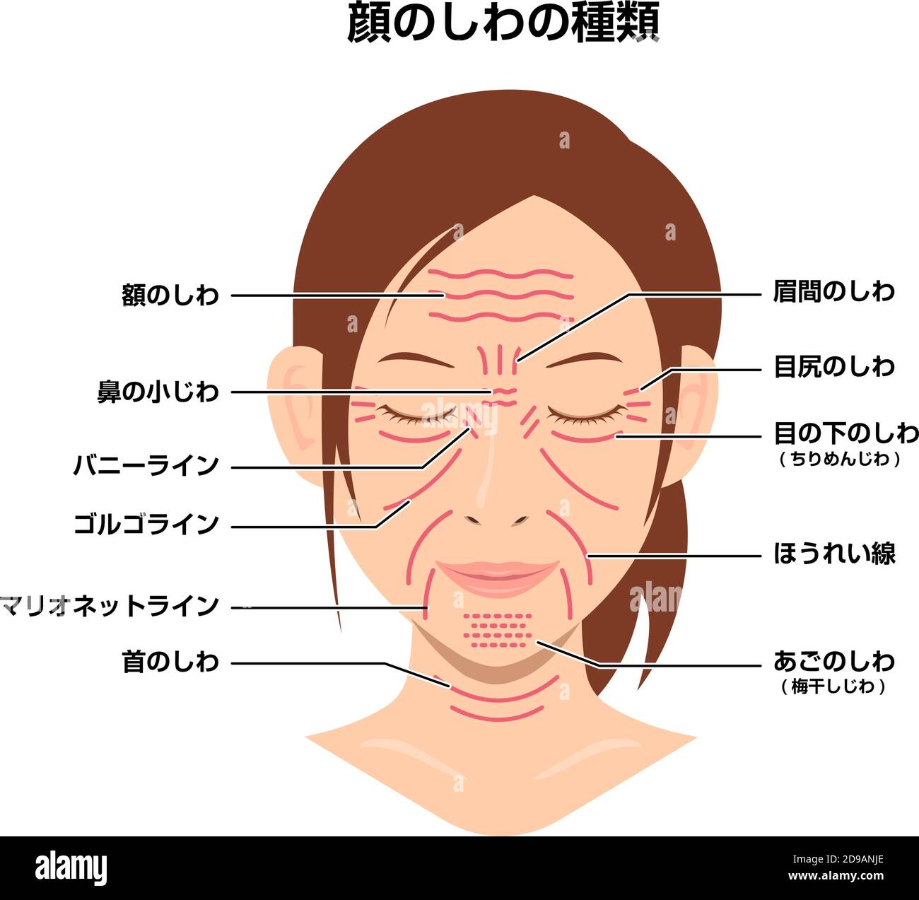 Plis faciaux ( visage féminin ) illustration vectorielle / japonais Illustration de Vecteur