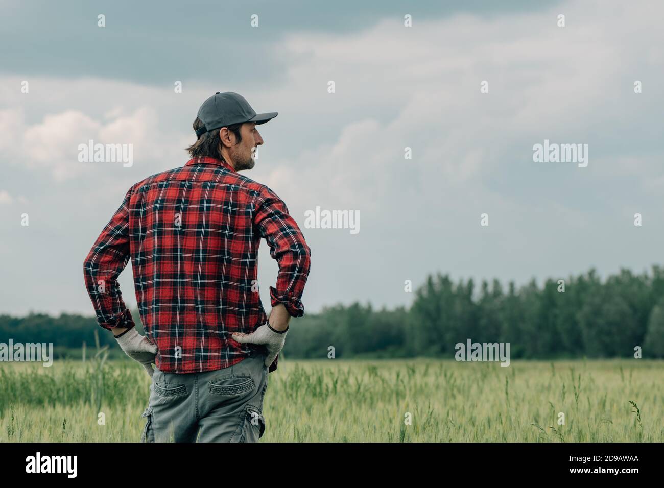 Inquiet agronome fermier de blé debout dans la culture céréalière cultivée champ agricole regardant sur la plantation pleine de mauvaises herbes. Vue arrière de la ferme masculine Banque D'Images