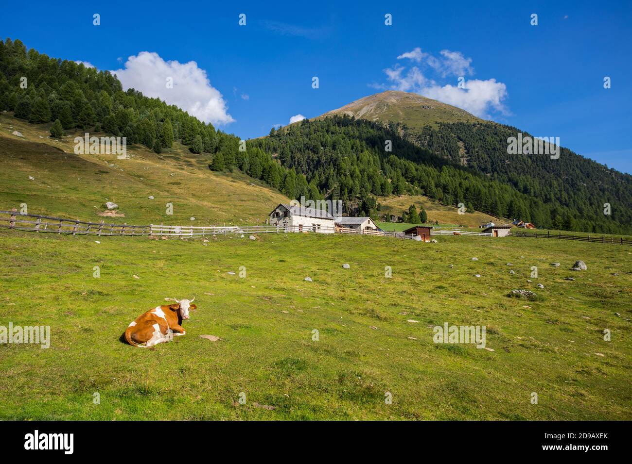 Paysage de montagne près de Livigno, province de Sondrio, Italie Banque D'Images