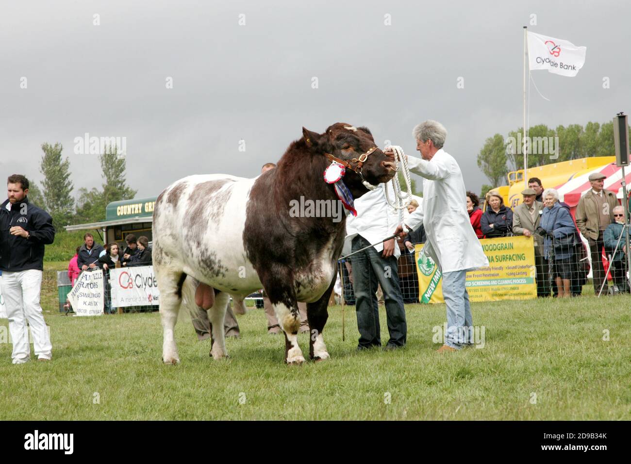 Ayr Agricultural Cattle Show, Ayrshire, Écosse.Royaume-Uni tenu à Ayr Racecourse.Le spectacle annuel présente le bétail et les compétitions.Un événement annuel très attendu pour la communauté agricole de se réunir.Le spectacle a été clôturé avec une exposition et une procession d'animaux et de bêtes primés, y compris des chevaux, des bovins, des chèvres et des moutons, avec le prix final du Champion of Champions Banque D'Images