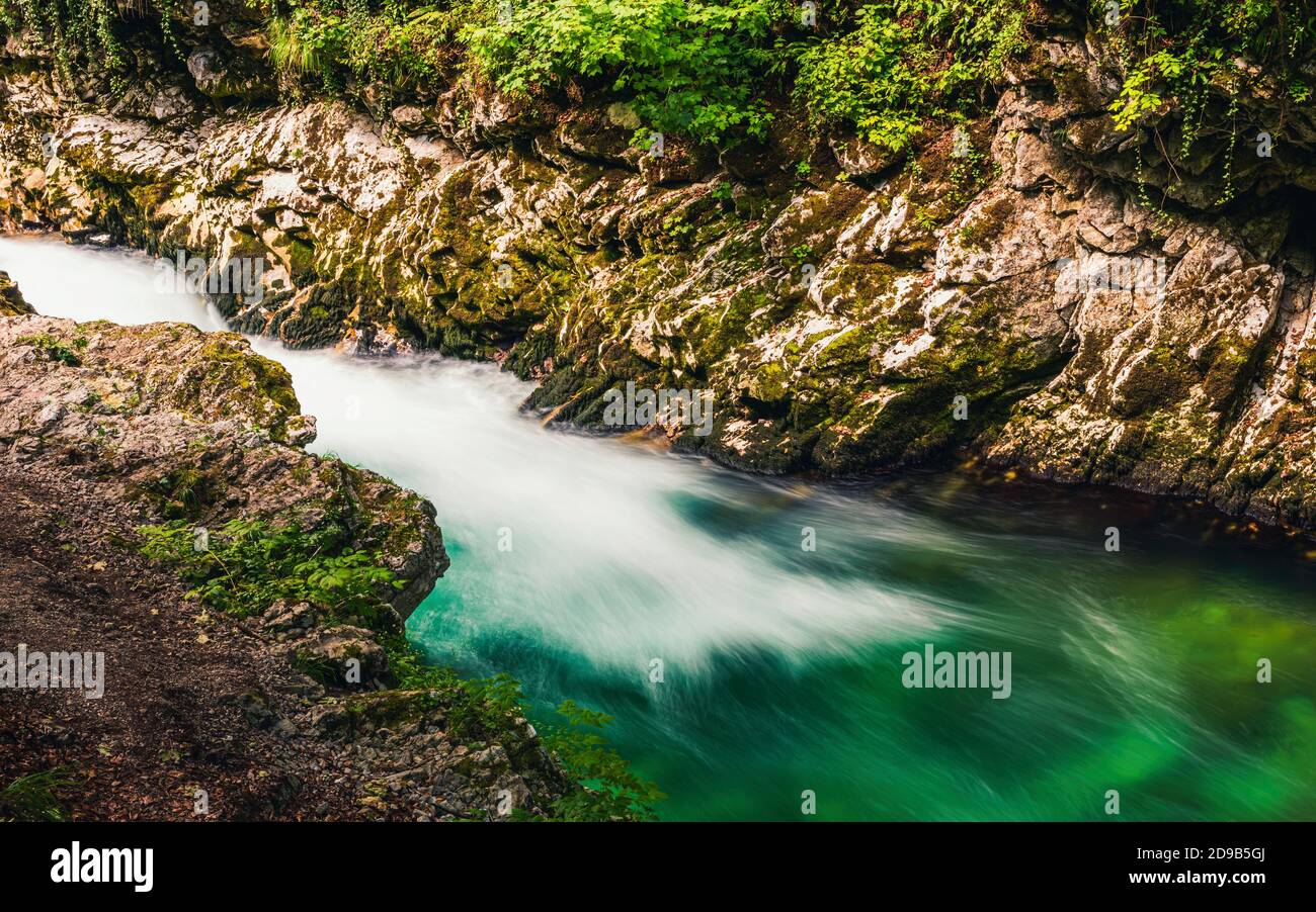 Rivière Radovna dans la gorge de Vintgar en Slovénie en Europe Banque D'Images