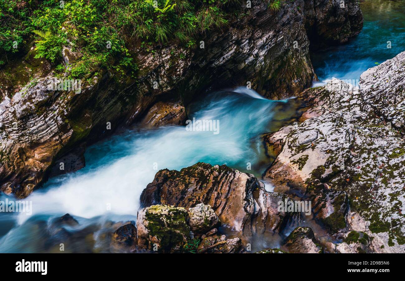 Rivière Radovna dans la gorge de Vintgar en Slovénie en Europe Banque D'Images