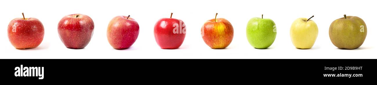 différentes variétés de pommes sur fond blanc prise en studio Banque D'Images