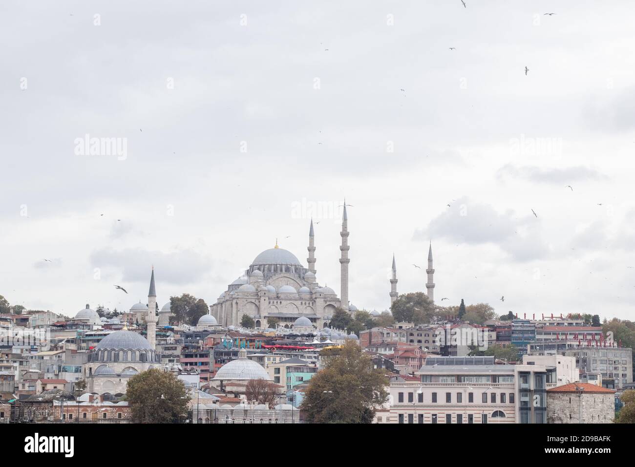 Vue sur le paysage de la ville d'Istanbul. Baie de la corne dorée. Mosquée, mouettes et ferries. Mise au point sélective douce Banque D'Images