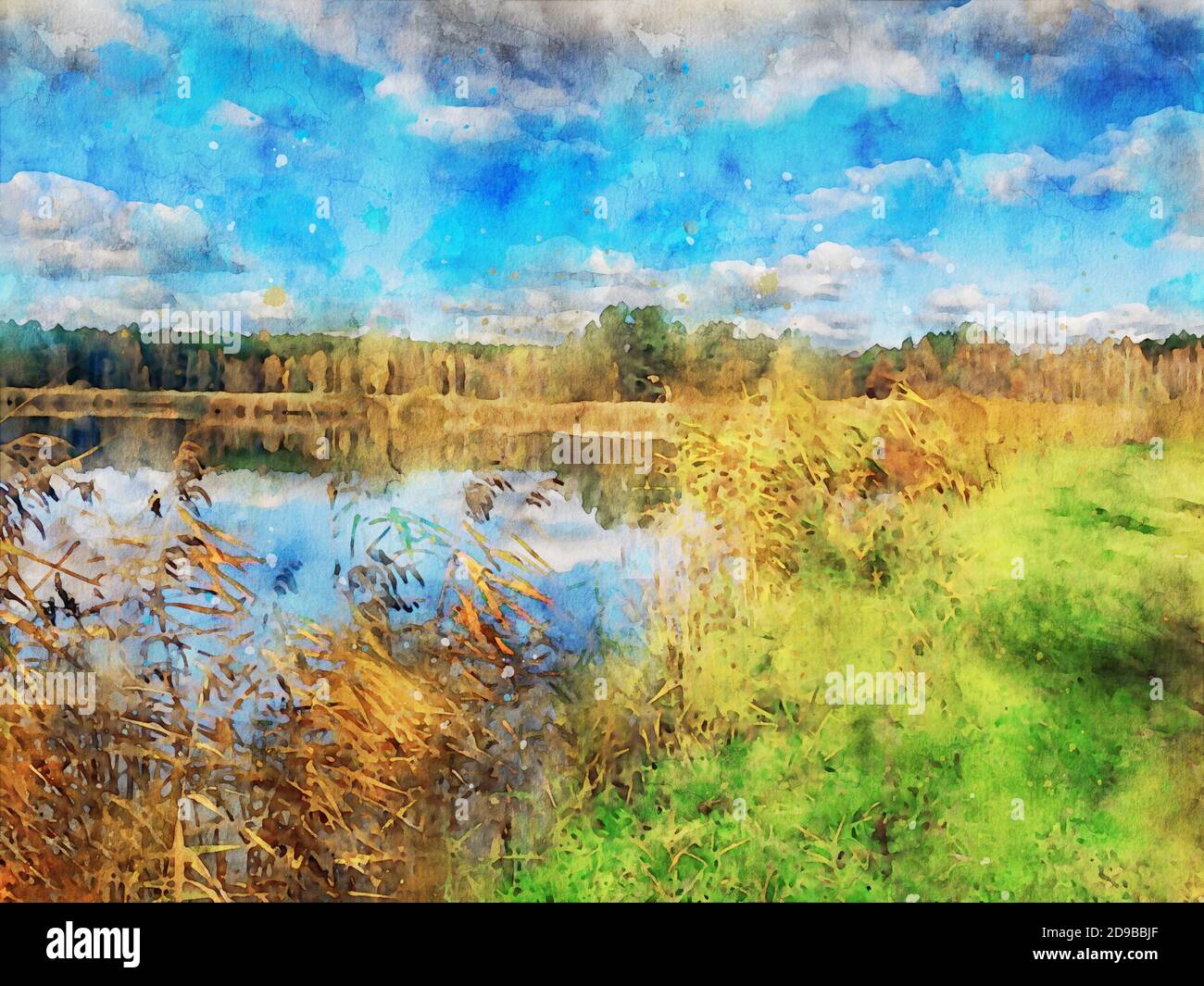 Illustration aquarelle d'un paysage d'automne sur un lac avec forêt et roseaux. Banque D'Images