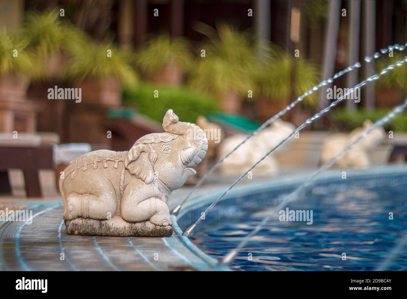 Piscine extérieure de luxe et eau d'éléphant. Des statues d'éléphants vaporisent de l'eau depuis une piscine. Béton d'éléphant. Statue d'éléphant au bord de la piscine. Banque D'Images